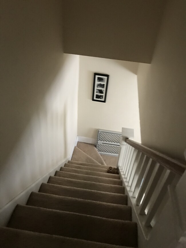 Stairway - 828 Christian Pl