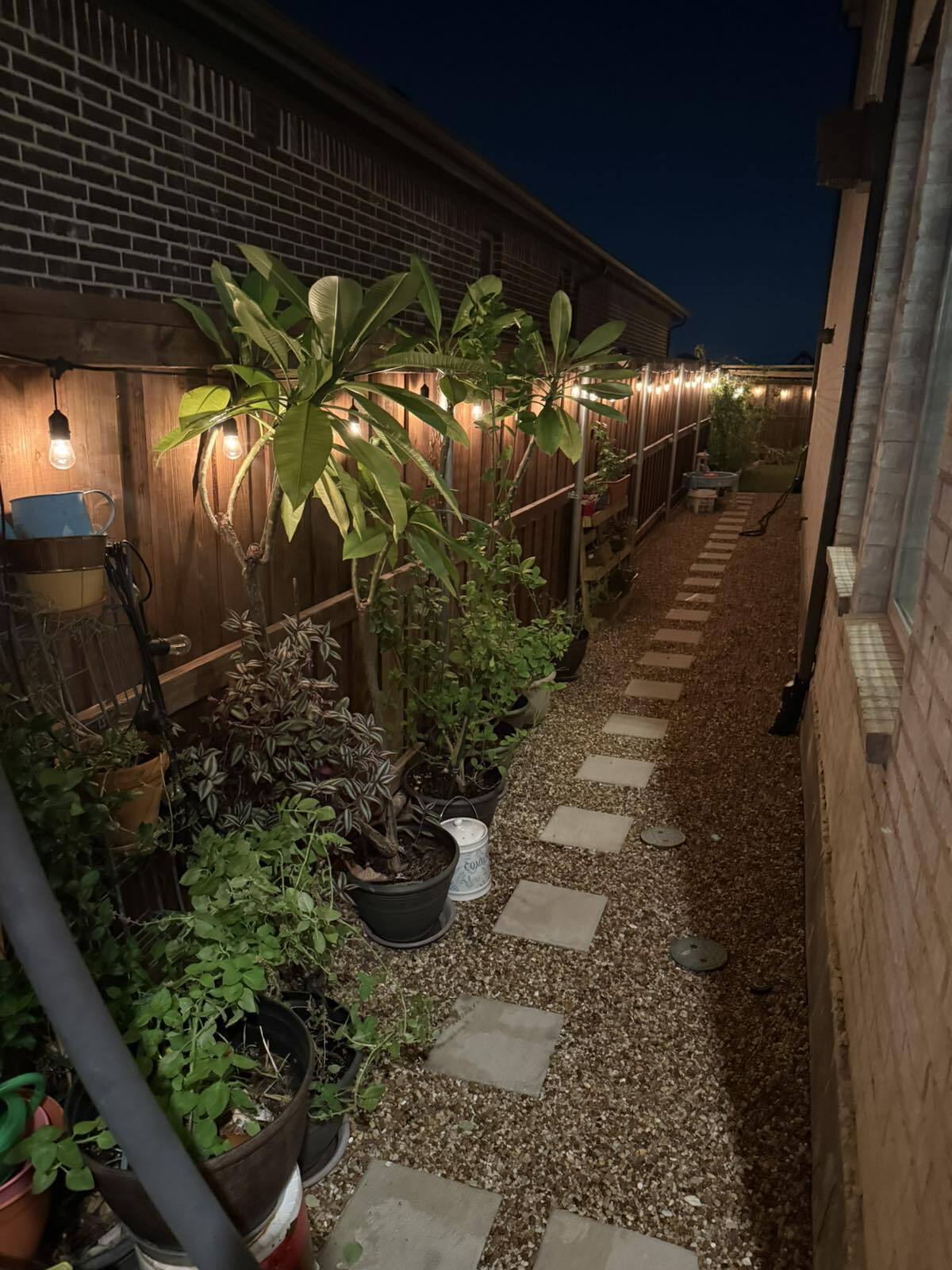 Building Photo - 1803 Desert Willow Way