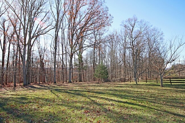 Building Photo - Peaceful & Private Shadwell Mountain Cottage Near I-64 & Pantops