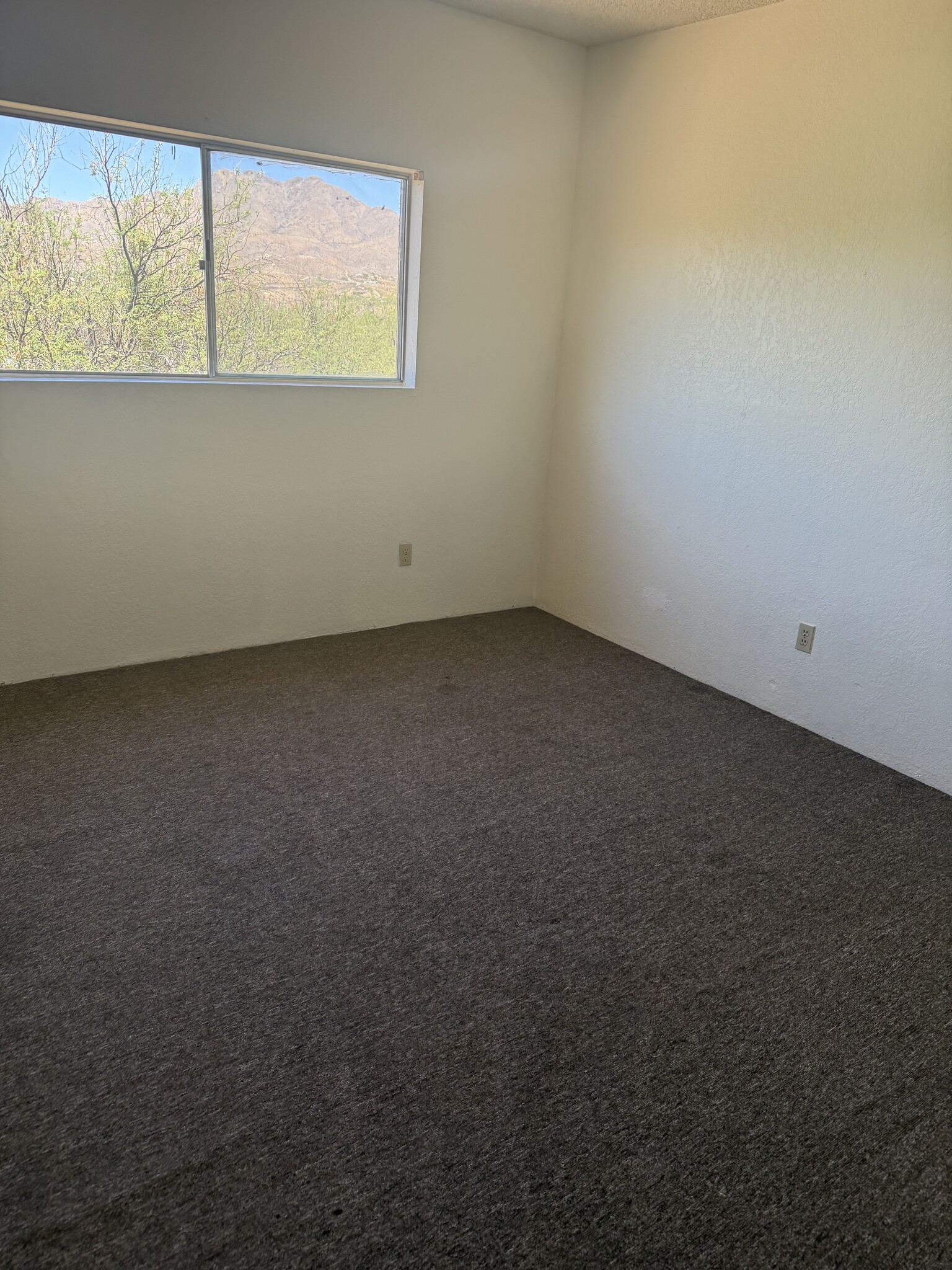 Building Photo - 433 Avenida Garza