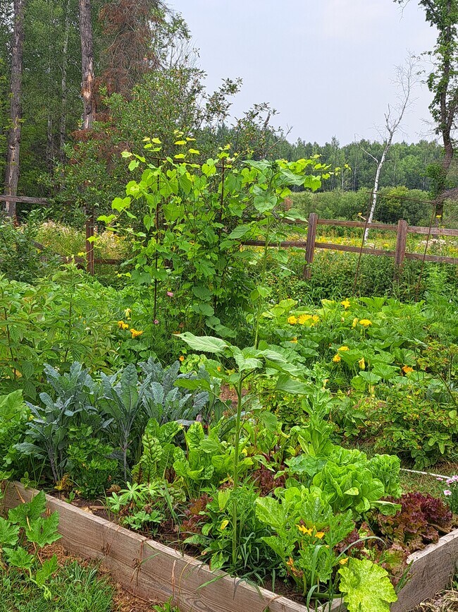 Building Photo - 9374 Alango Rd