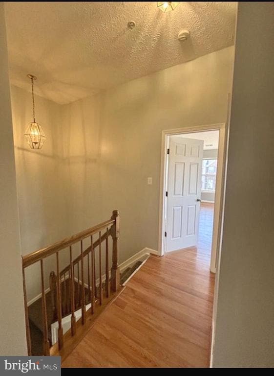 Building Photo - 325 Bald Eagle Way