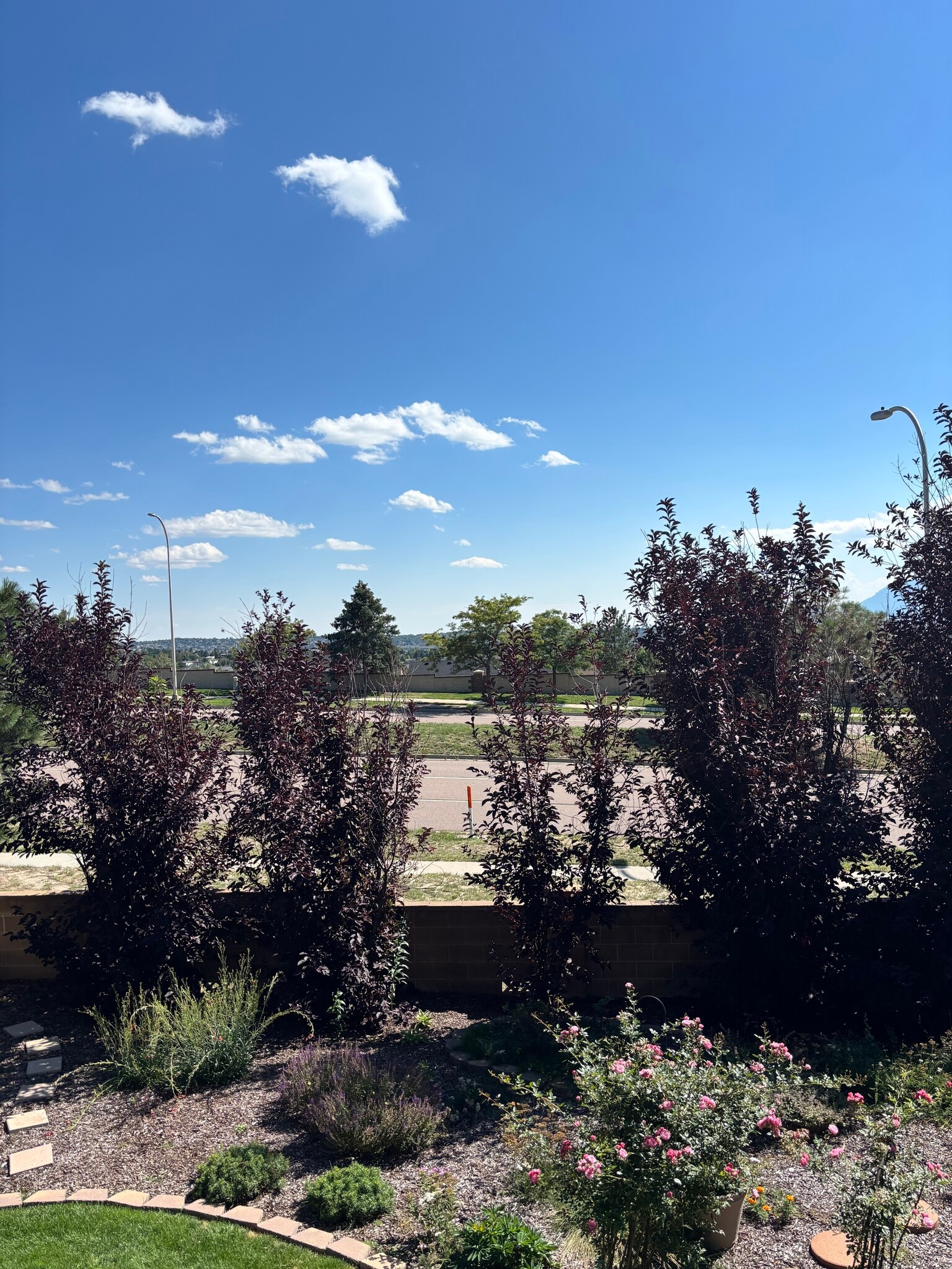 Building Photo - 3425 Birnamwood Dr