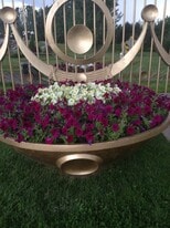 Building Photo - 733 Termino Ave