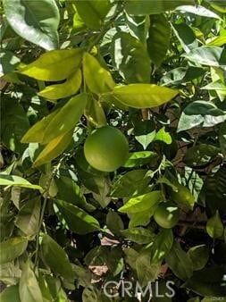 Building Photo - 62 Acorn