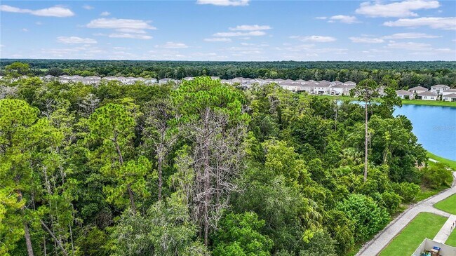 Building Photo - 5012 Blue Hammock Ct