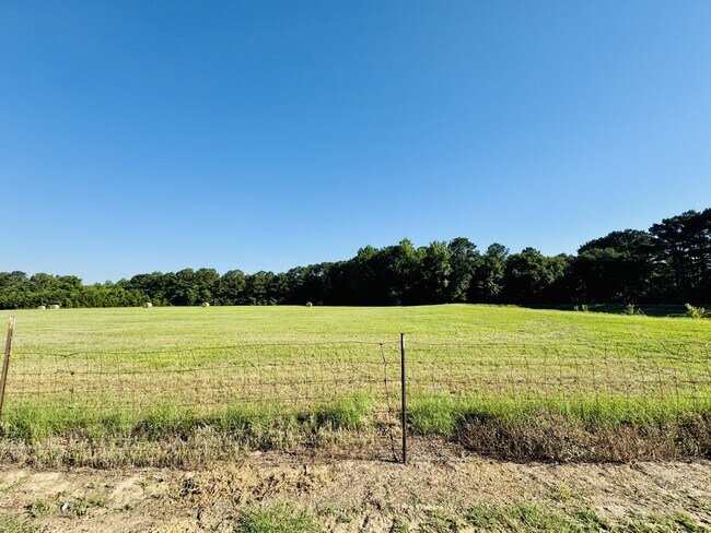 Building Photo - 131 Blissful Ct