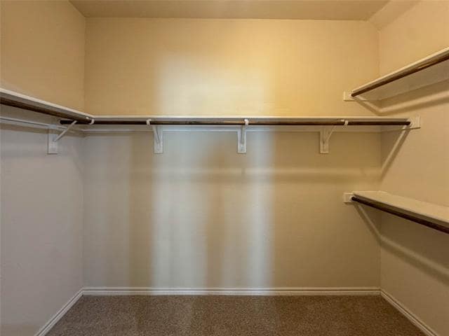 Building Photo - 5513 Galante Ln