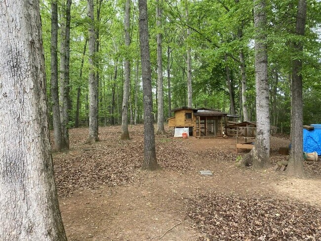 Building Photo - 225 Silver Birch Ct