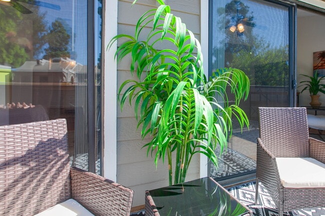 Building Photo - 1075 Shadowridge Dr