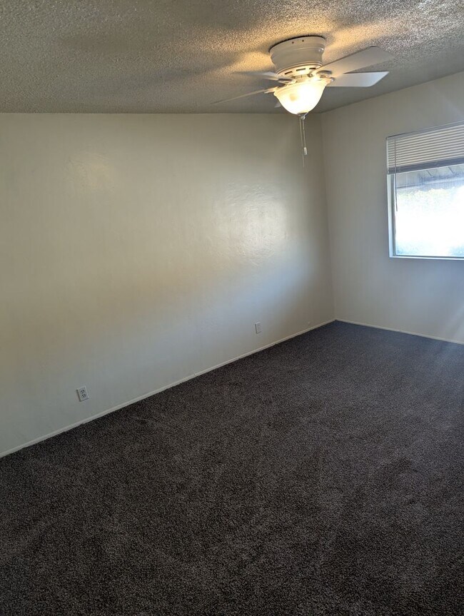 Interior Photo - 034-220-226 STINE RD