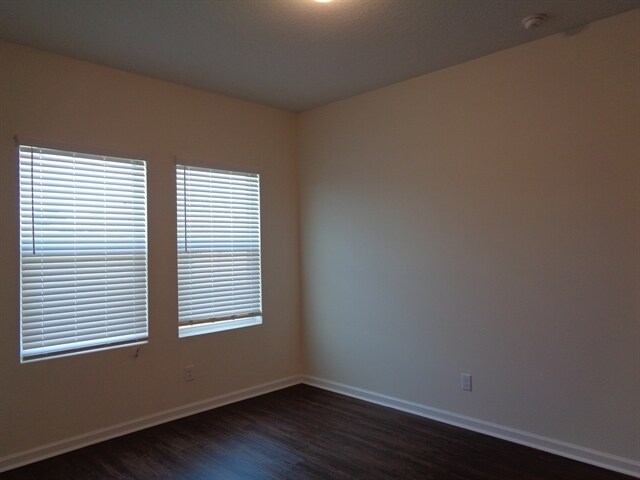 Building Photo - 11505 Pace Bend Ct