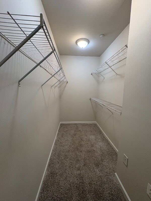 Building Photo - 1005 Weybridge Ct