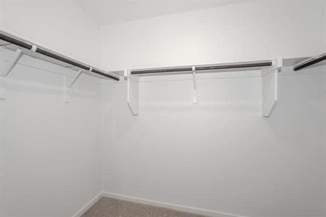 Building Photo - 1419 Merlin Blf St