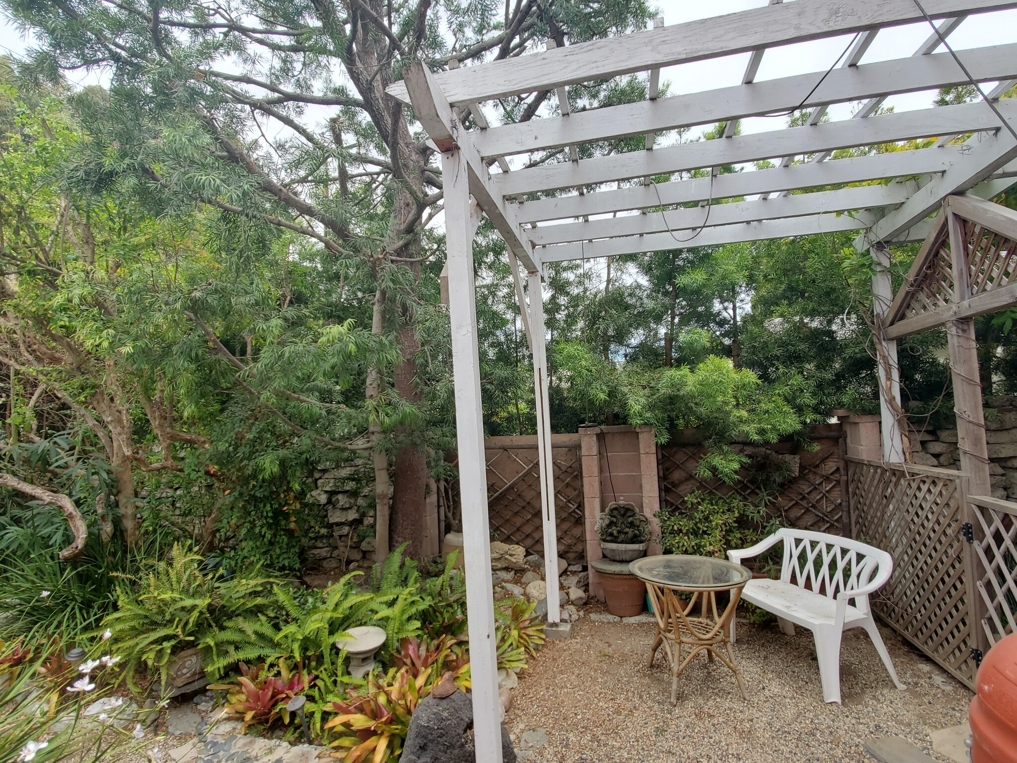 Backyard - 663 Marine St