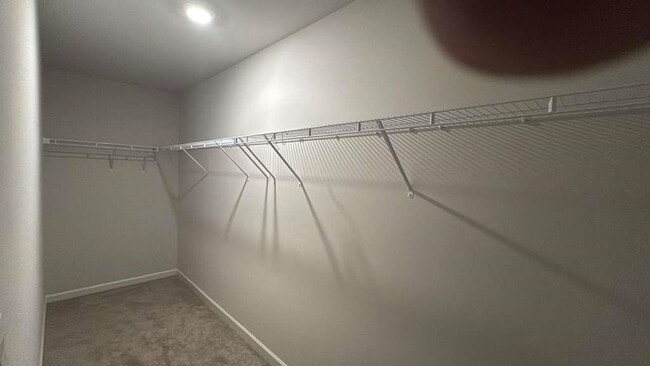 Building Photo - 2213 Blue Monarch Dr