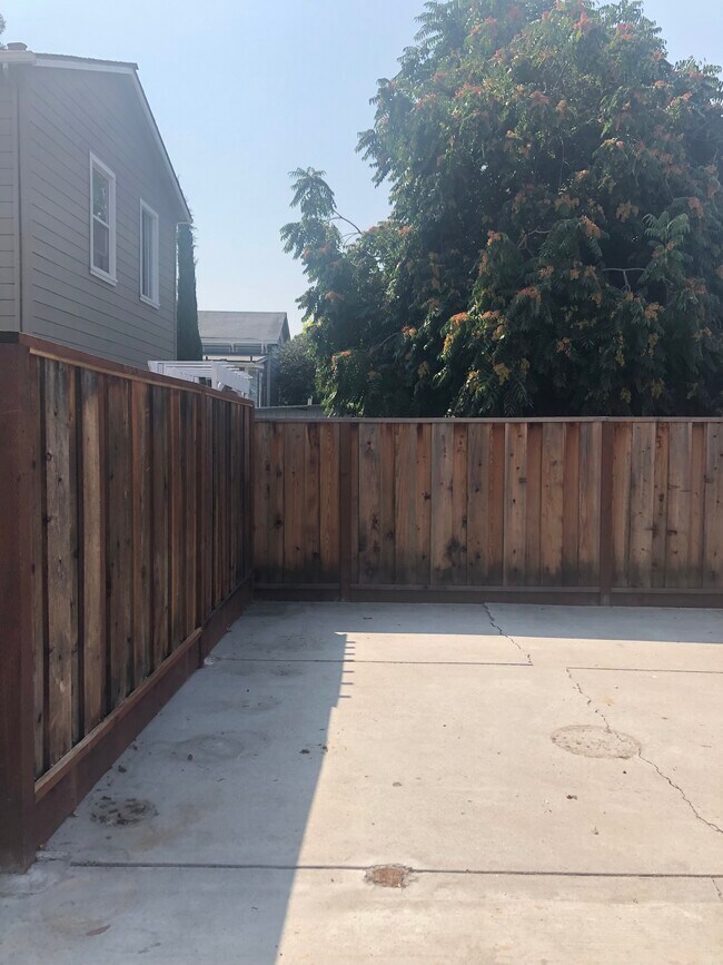 Backyard - 79 N 12th St