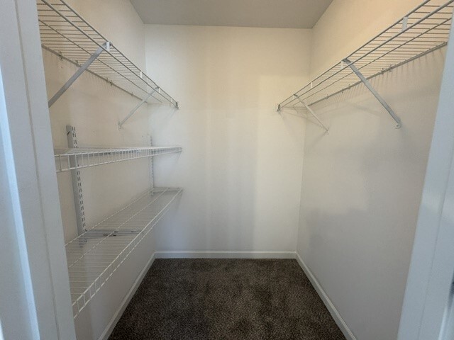 Building Photo - 125 Sophie Ln