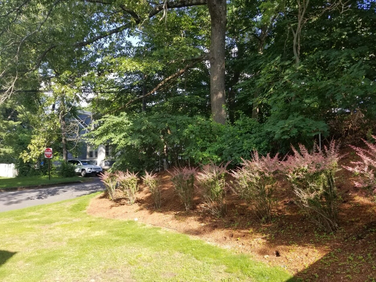 Sideyard - 2 George Rd