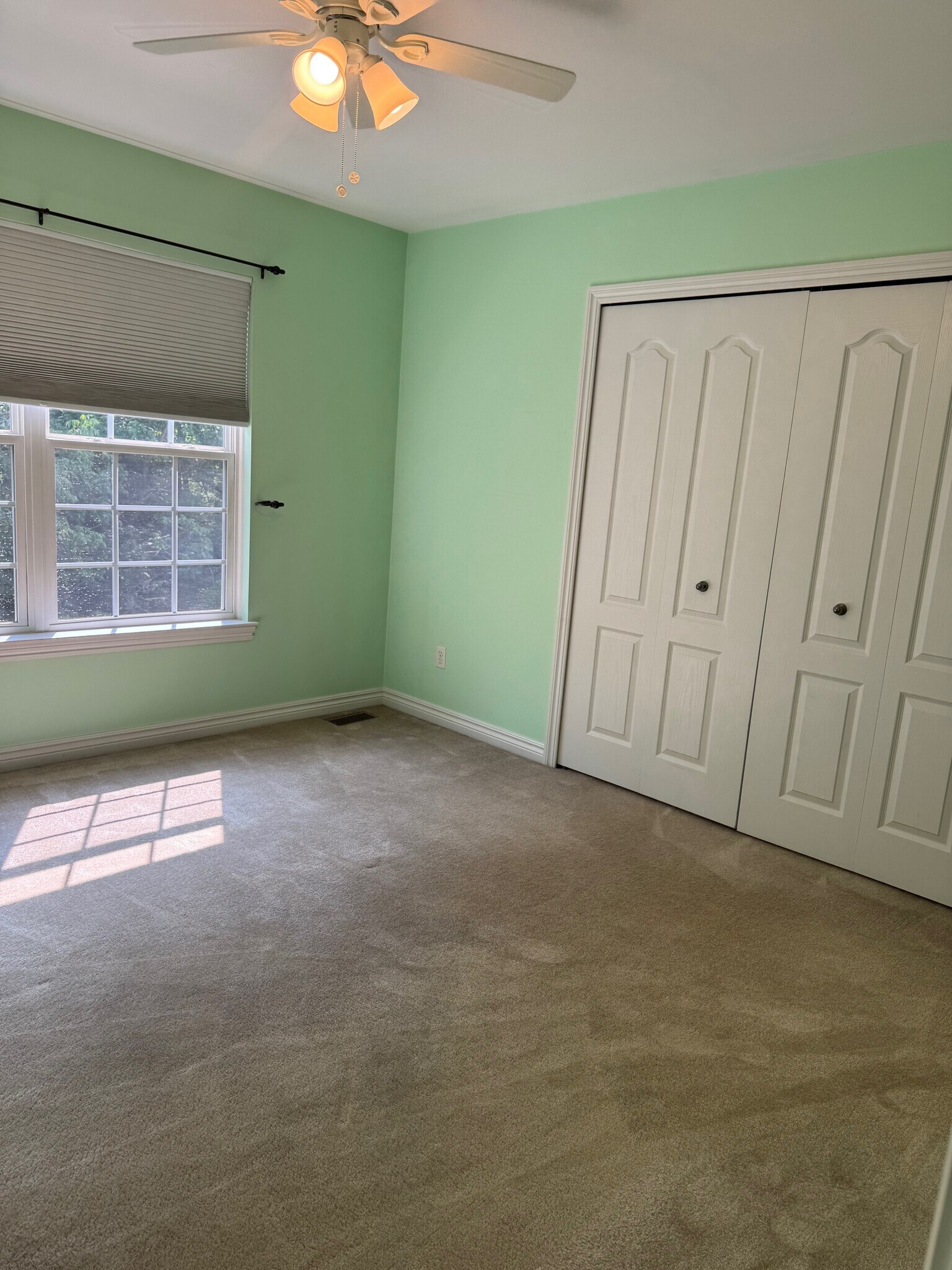 Second Bedroom Closet - 52 Grandview Cir