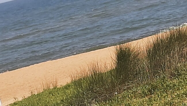 Building Photo - Ocean View East