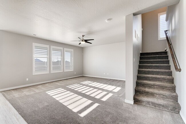 Building Photo - Custom Hunter-Douglas shutters throughout.