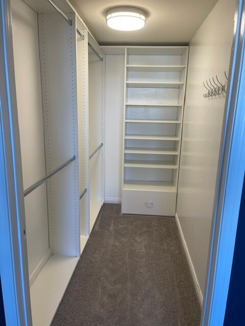 Primary closet - 1029 S Hobart Blvd