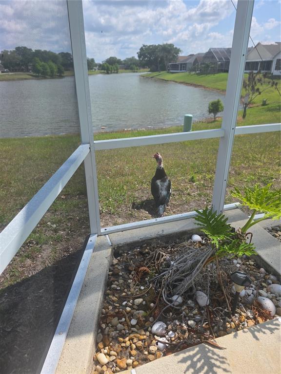 Building Photo - 2309 Anhinga Dr