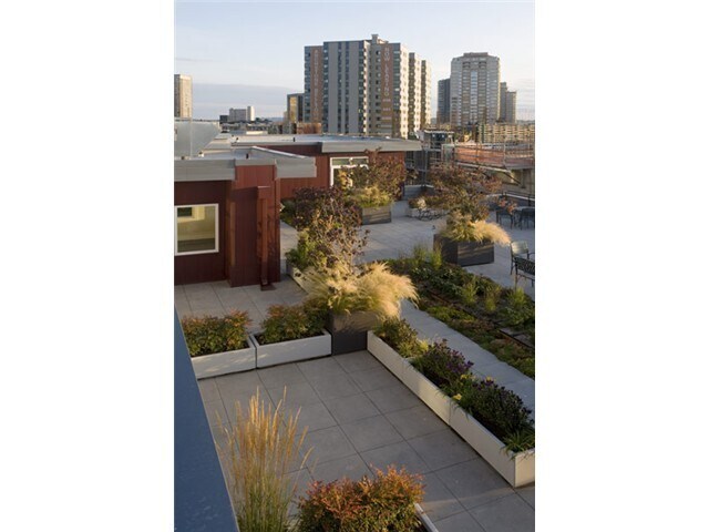 Building Photo - Beautiful 1 Bed + Den/1.5 Bath Condo @ Mar...