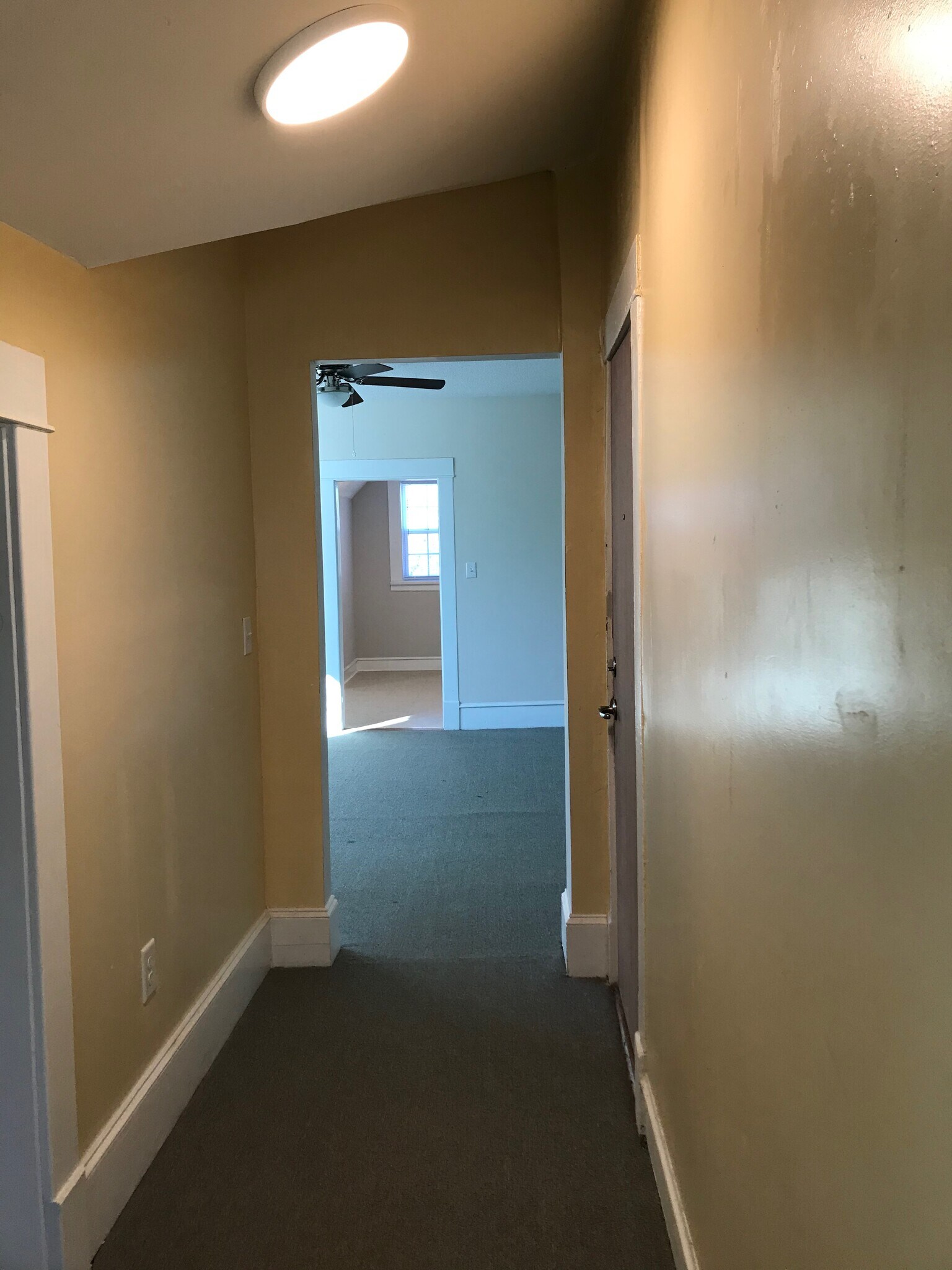 Hall toward Living Room - 1219 Grace Ave