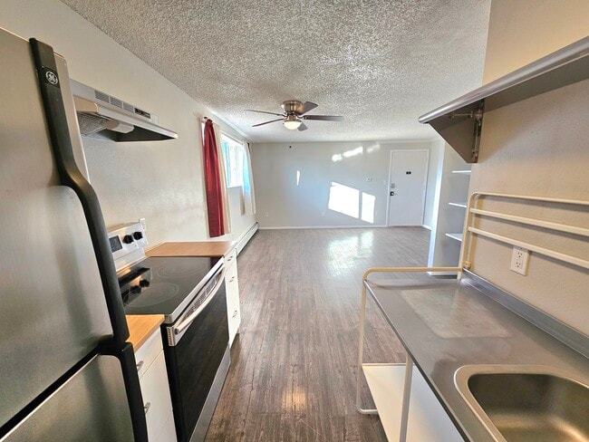 Unit #106 Kitchen - Very Transit Oriented! - 12th and Wads Residences
