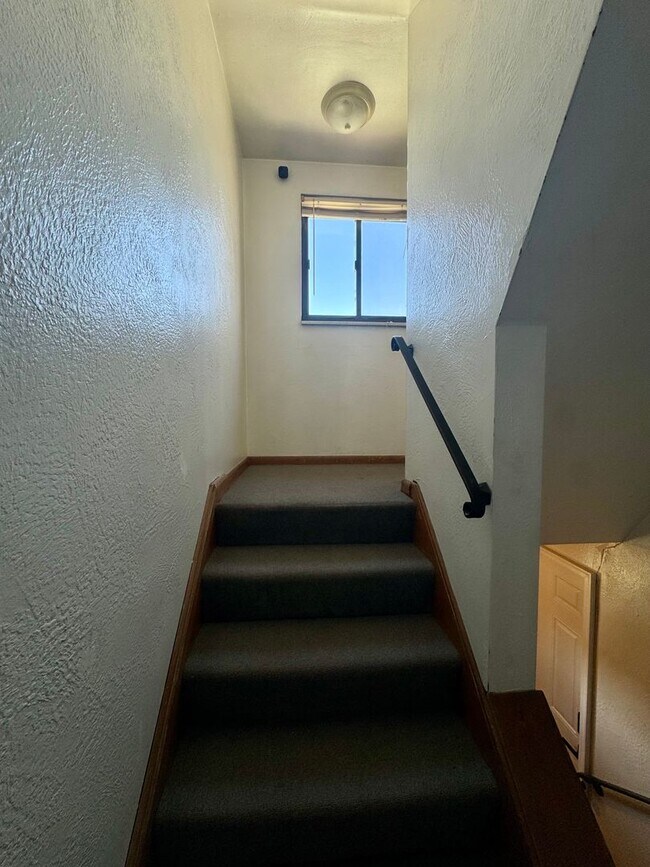 Building Photo - 229-231 Marylea Avenue (LO)