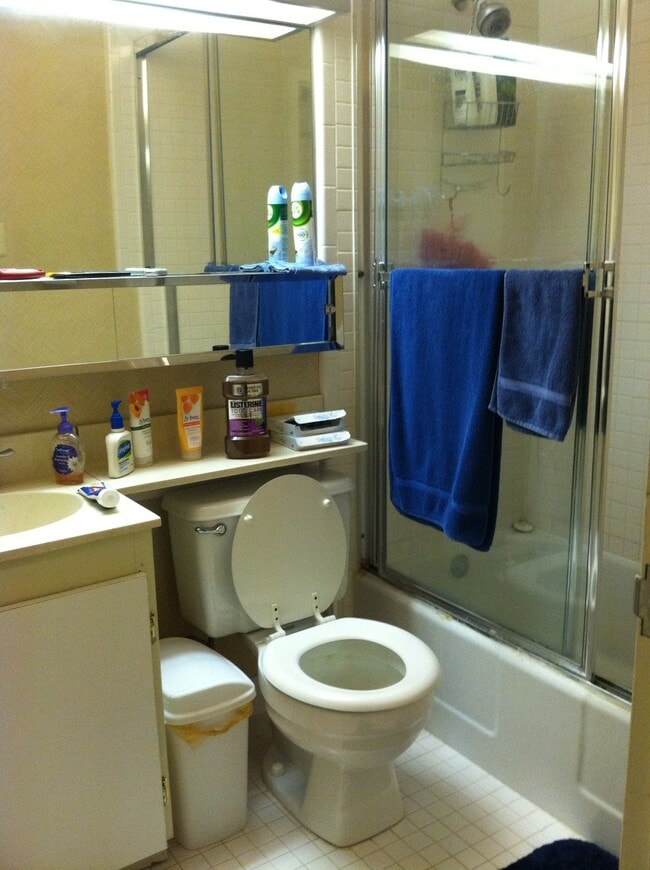 Bathroom - 1011 Arlington Blvd