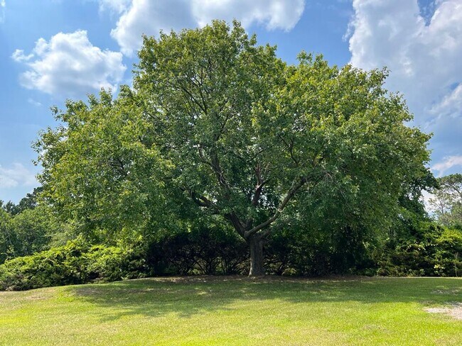 Building Photo - Spacious Log Cabin with Bonus Room. Country Living!