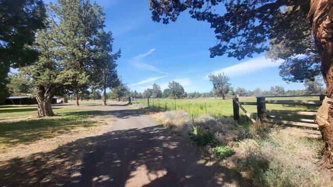Building Photo - 4 bedroom 3 bath horse property- 6 acres i...