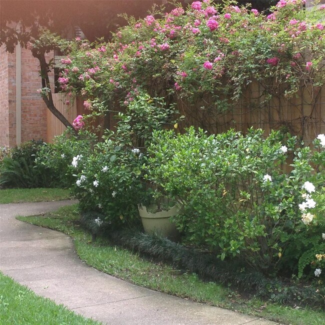 Building Photo - 1601 S Shepherd Dr