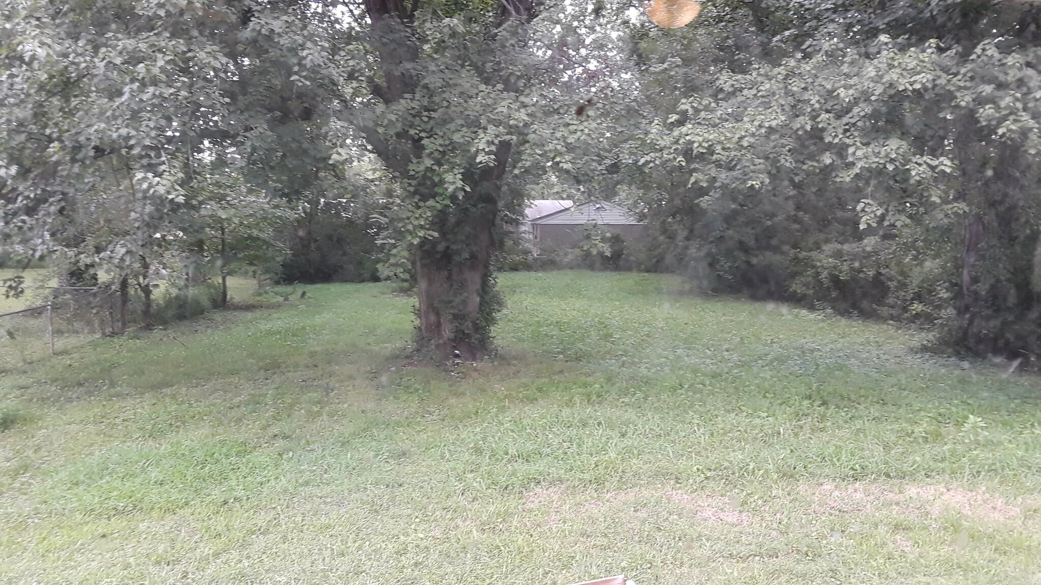 Back yard - 4848 Brenda Dr