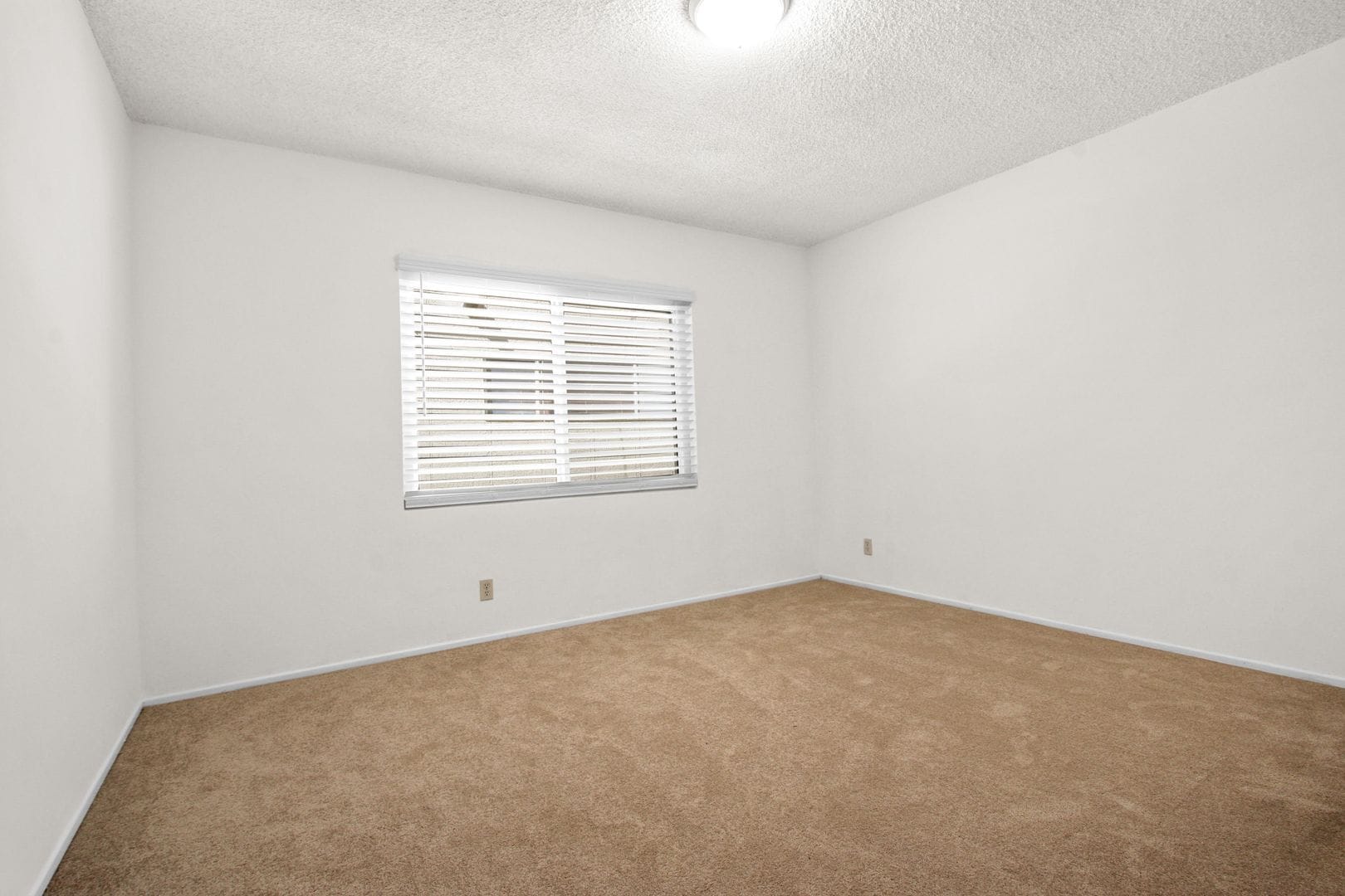 Building Photo - 1237 Berkeley St