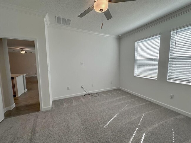 Building Photo - 17216 Mango Shay Ct