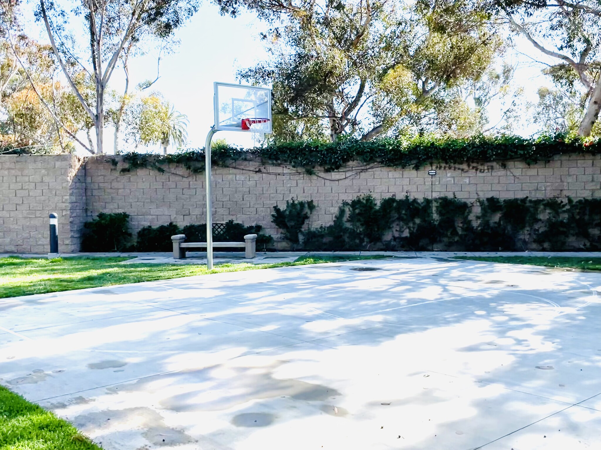 Basketball anyone? - 820 Harbor Cliff Way