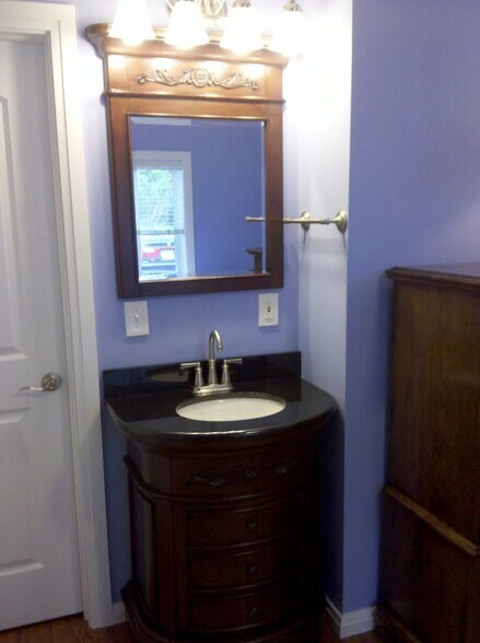 sink violet room - 419 Triphammer Rd