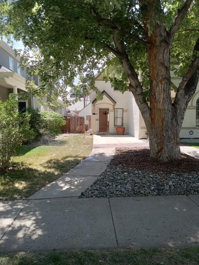 Primary Photo - 431 Clayton St