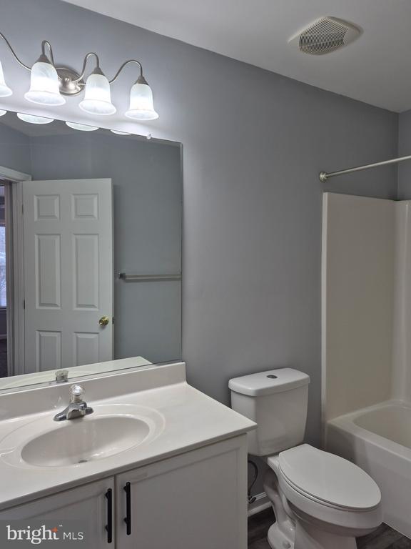 Building Photo - 43 Scarboro Dr