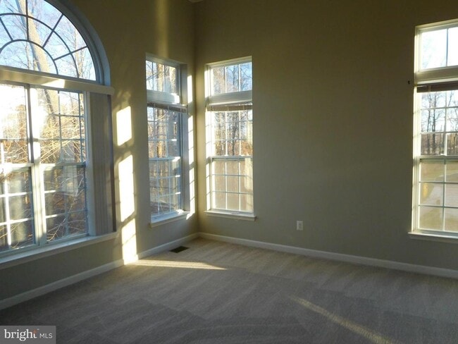 Building Photo - 12420 Rollys Ridge Ave