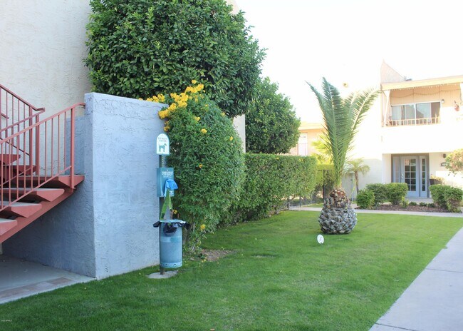 Building Photo - 1602 E Ocotillo Rd