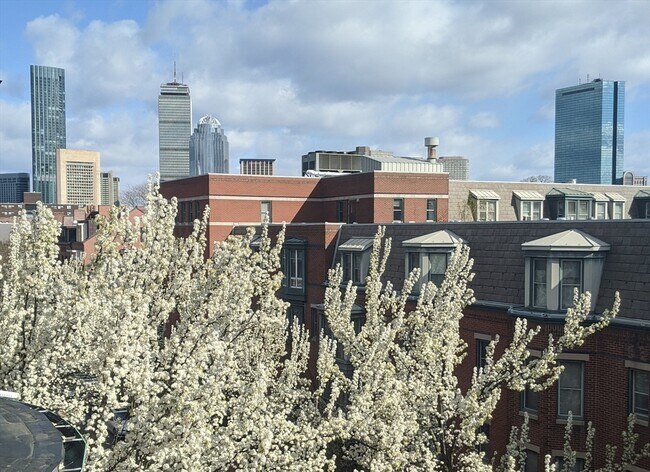 Building Photo - 86 W Springfield St