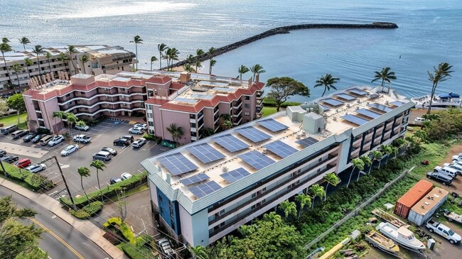Building Photo - 20 Hauoli St