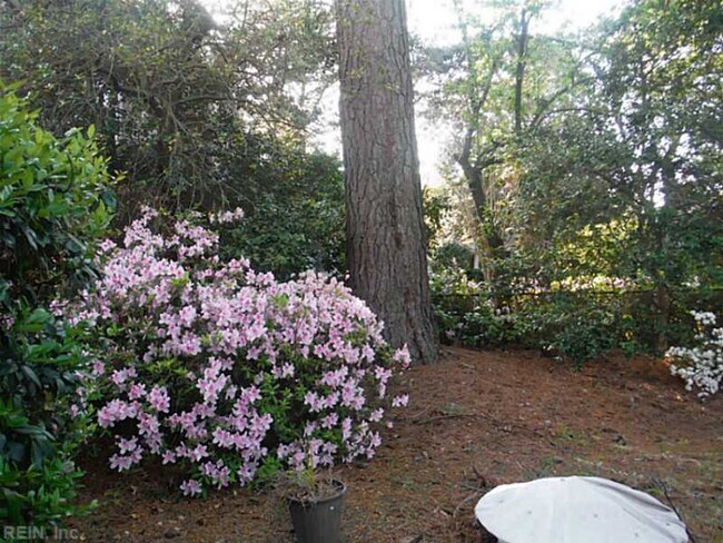 Building Photo - Larchmont