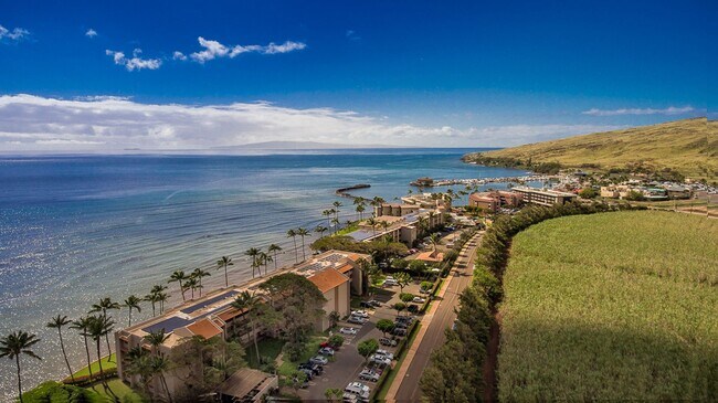 Building Photo - 150 Hauoli St