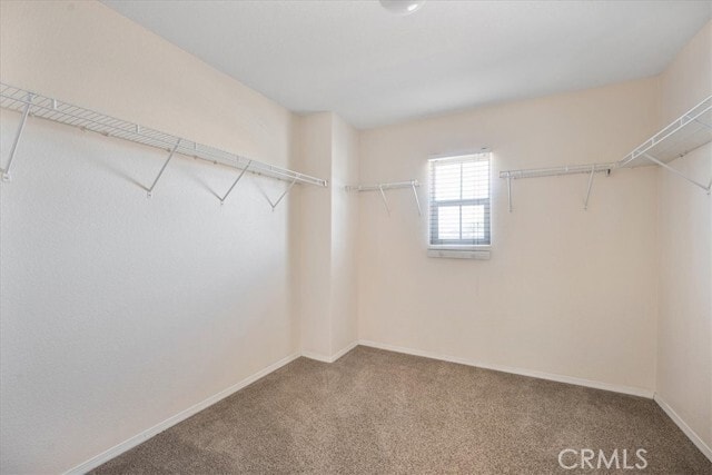 Building Photo - 36340 Sicily Ln